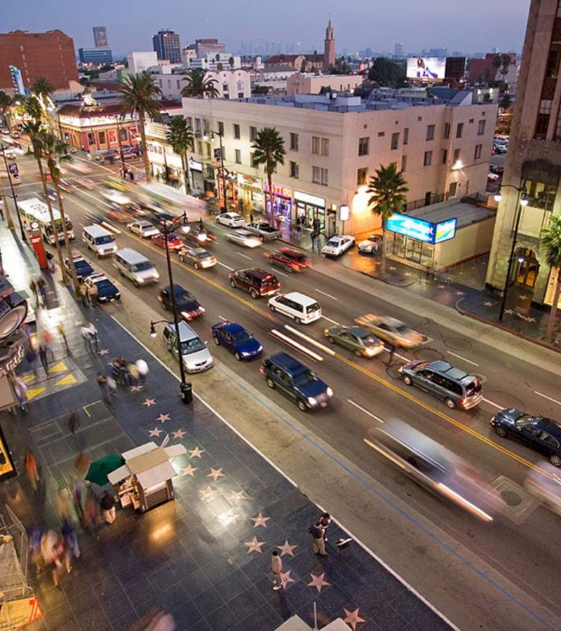 A city street with palm trees and a star-studded sidewalk