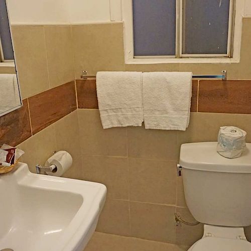 A small bathroom with a sink, mirror, toilet, and towel rack holding white towels. There is a roll of toilet paper on the toilet tank.